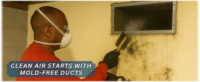 Air Duct Mold Removal in Orland Park IL