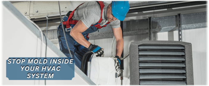 HVAC Mold Removal Orland Park IL